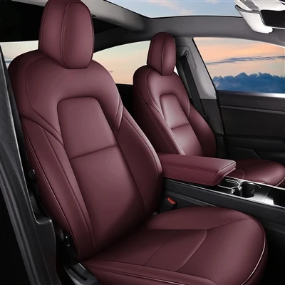 Prvým autom mladého človeka môže byť Tesla